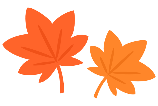 紅葉見に行こうよう♪